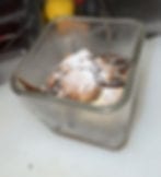Delicate Tiramisu.